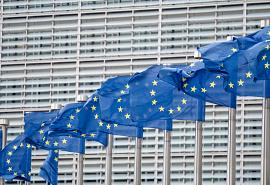 Accelerated input VAT deduction (English)