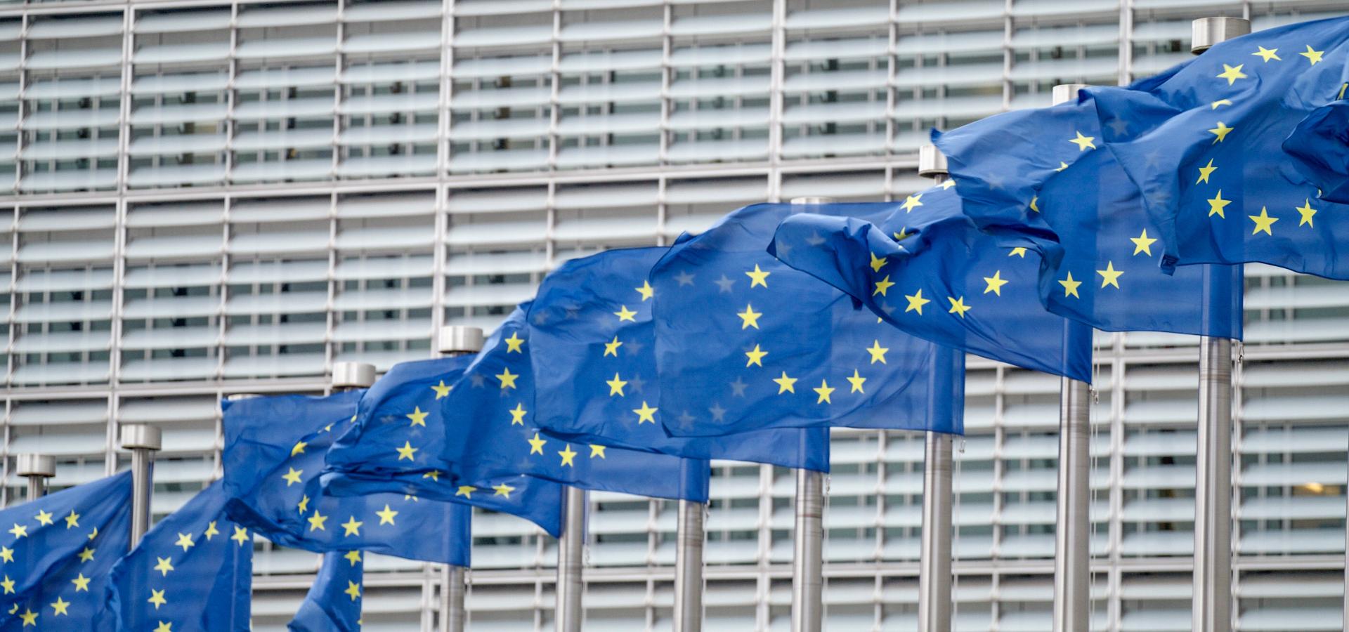 shutterstock 2443985923(1)